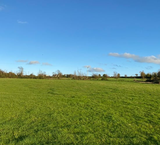 Bumper auction as Wexford land sells for double guide price