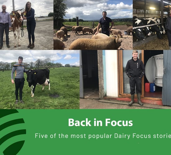 Dairy throwback series to go live over the festive period