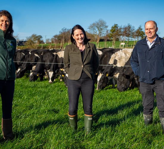 Survey: 92% of consumers in Ireland include dairy in their diet