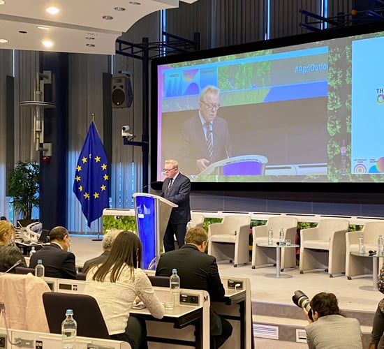 European livestock farms decrease by 40% in 10-year period
