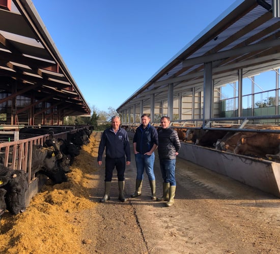 Factory offering farmers free AI straws ‘to show benefit of better genetics’