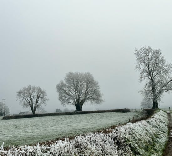 Larissa revels in 'The Glow of a Winter's Eve'