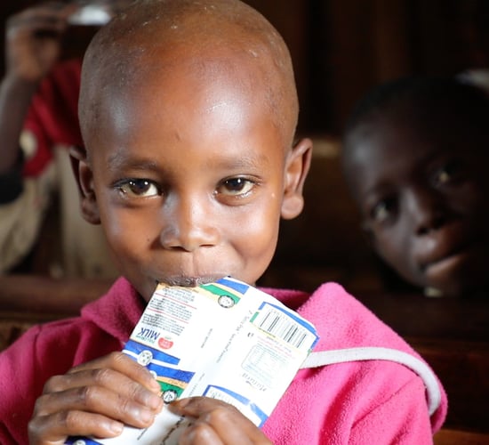 School meals project providing 3,000 children with milk in Burundi