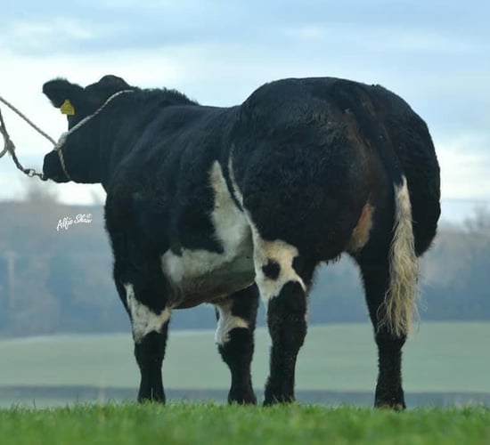 Jalex sale total comes to £413,000