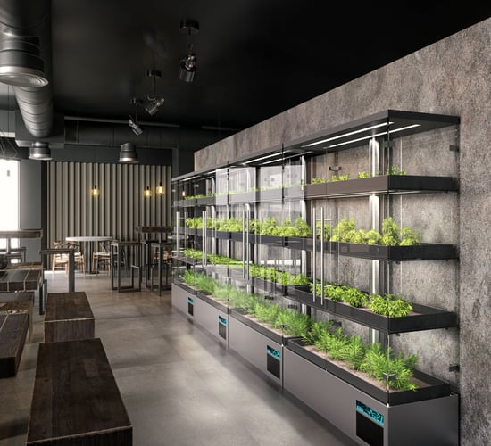 The twentysomethings changing the future of agriculture