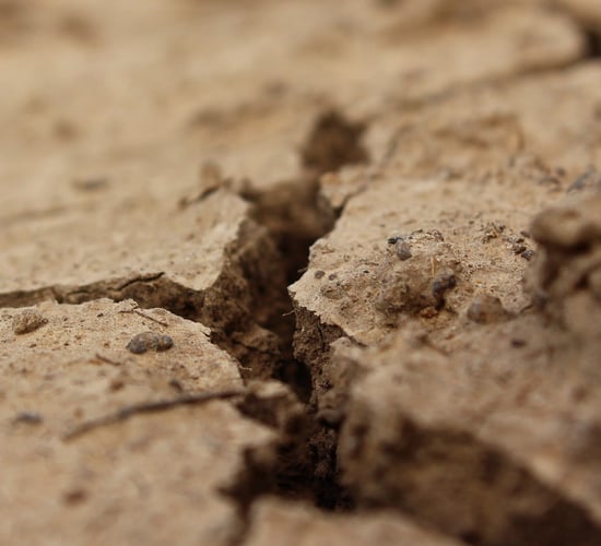 Minister announces €28.9m funding to tackle global food insecurity