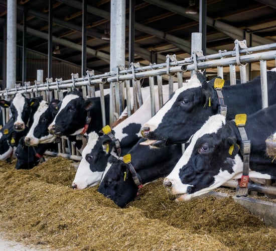 GDT price index average down by 24% in 2023