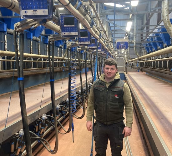 Improving cow comfort and halving milking time in Cork