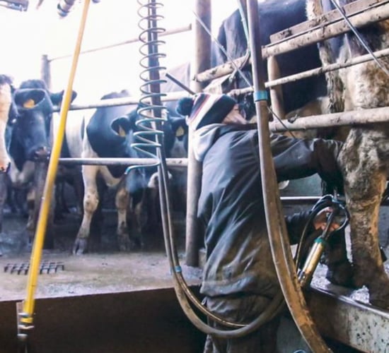 FRS survey: Two thirds of farmers cannot secure sufficient labour
