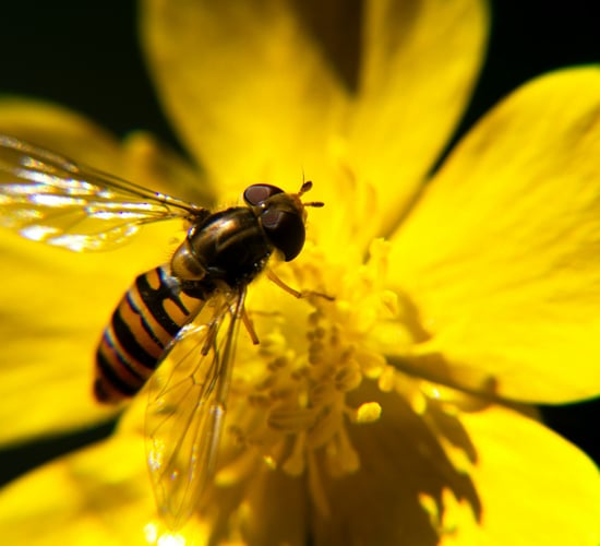 COP15: Calls for minister to promote the 'natural capital approach'