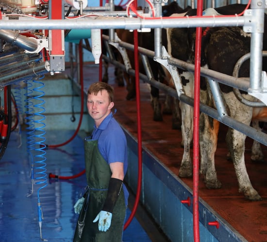Modern 14-unit parlour for new entrant to dairy in Tipperary