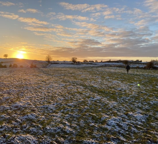 Weather: Dry and frosty start to week