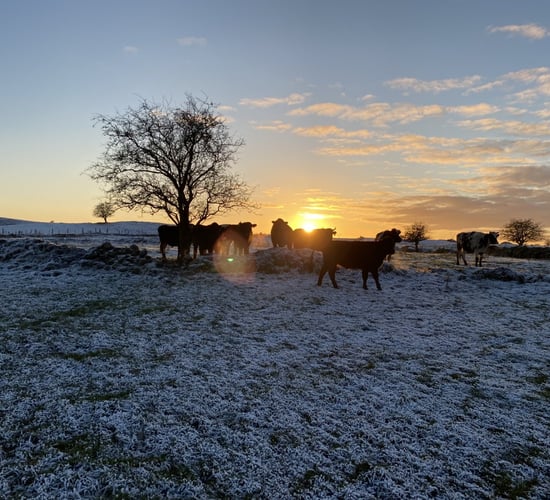 Safety tips to consider for farmers ahead of winter