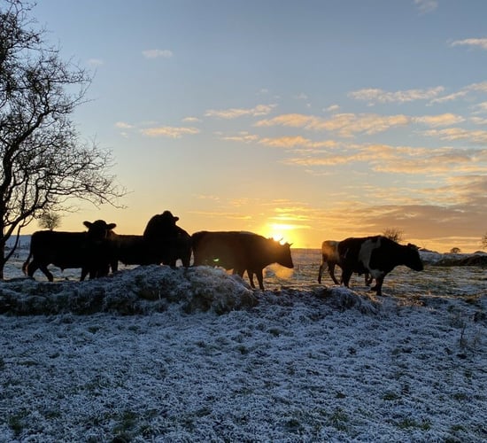 Weekend weather: Sleet, ice and snow as freeze sets in
