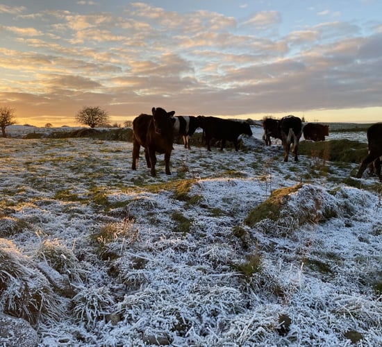 Met Éireann issues warning for low temperatures and ice