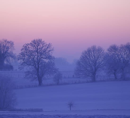 Status Orange warning for freezing fog issued