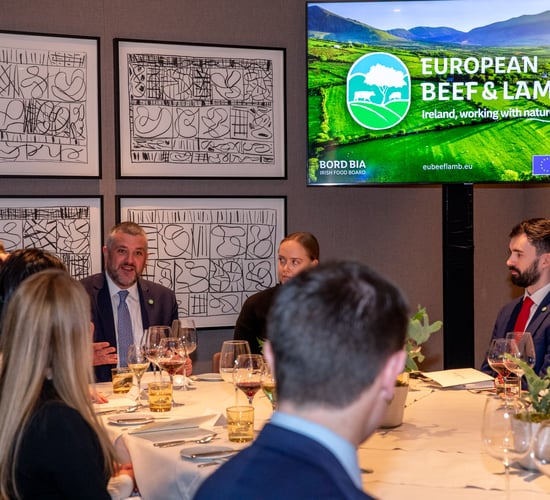 Bord Bia launches €4.8 million beef and lamb campaign