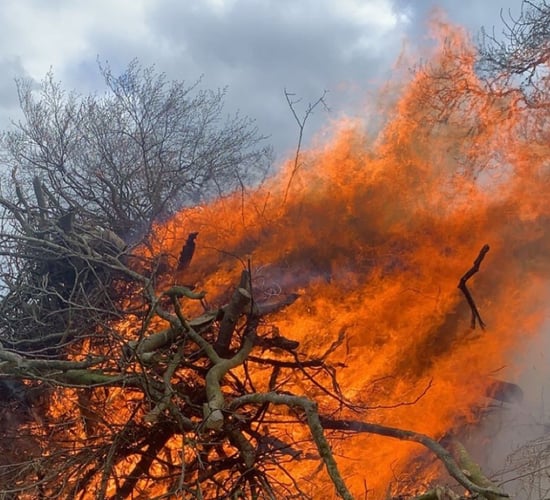 Final exemption for burning green waste begins this week