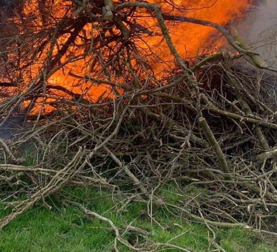 Department rules out further green waste burning extension