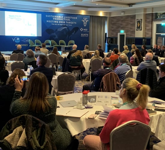 CAVI conference gets underway in Tullamore