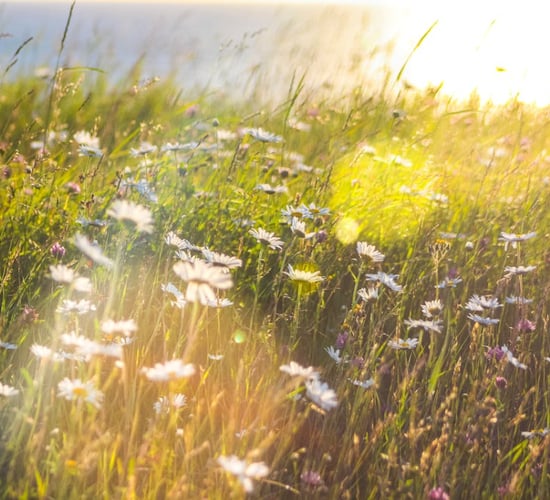€27m for community projects to scale up local climate action