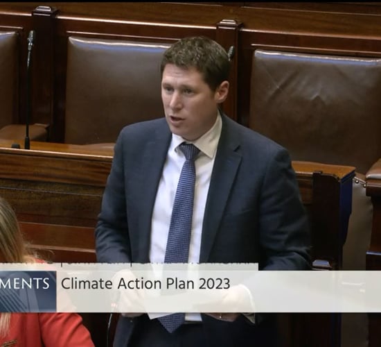 Government 'must intervene' on Coillte 'land grab' forestry deal