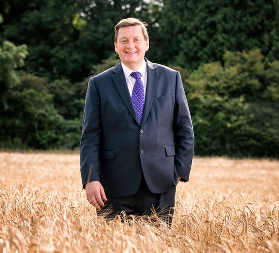 NI: Efforts underway to reduce food export trade barriers
