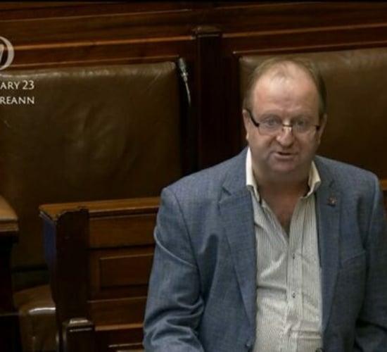 'Extremist' biodiversity report would 'decimate Irish farmers'