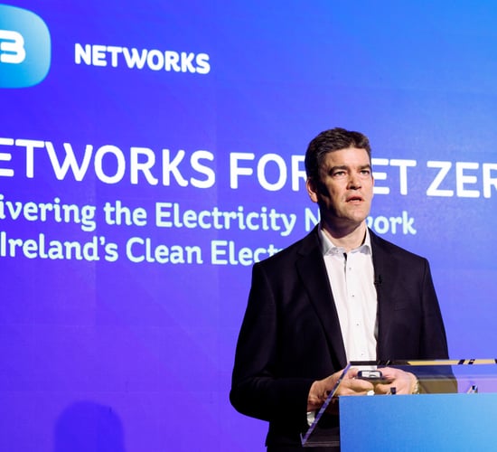 ESB Networks to invest €10bn in 'net zero' ambition
