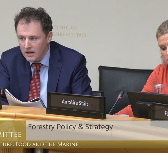 Coillte wants to invest €10m in new forestry fund