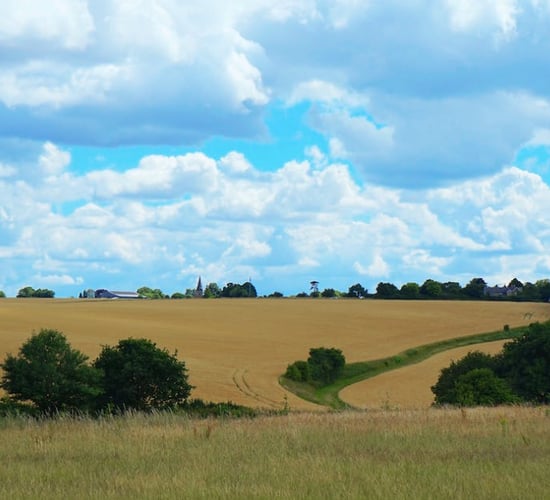 Active farmland 'excluded' from RZLT - McGrath