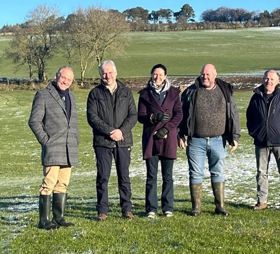 Wicklow prepares to host 2023 International Sheepdog Trials