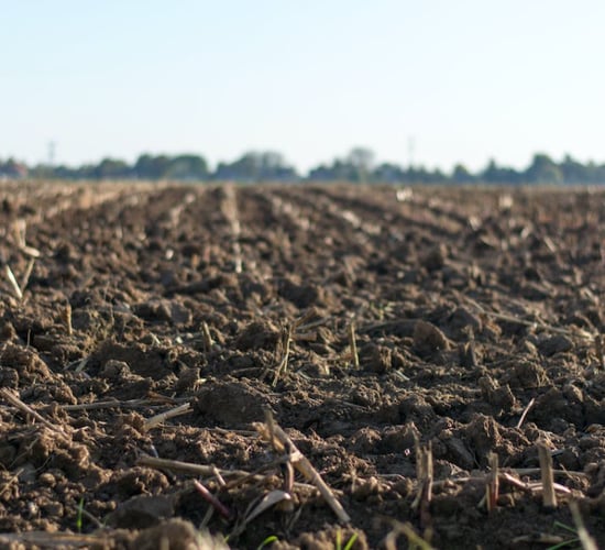 ABACO partners with retailers to support farmers and their soil