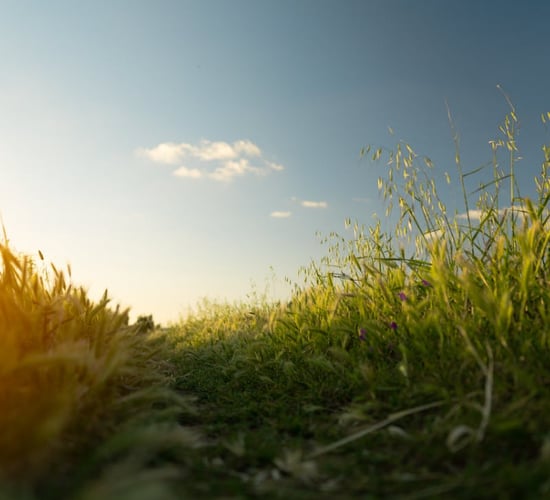 Funding of €5.2m for climate projects announced for Ireland and NZ
