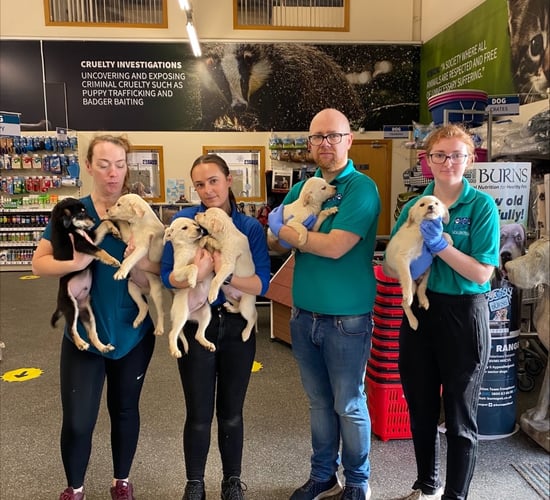 USPCA 'dismayed' as animals are abandoned after Christmas