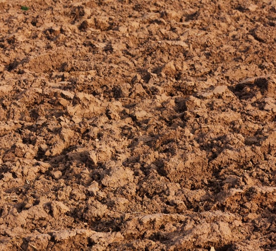 Tillage: Why are soil pH values so important?