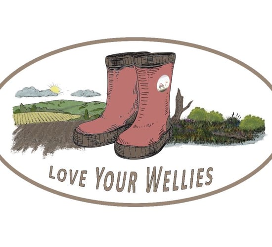 'Love Your Wellies' competition: €1,000 prize up for grabs