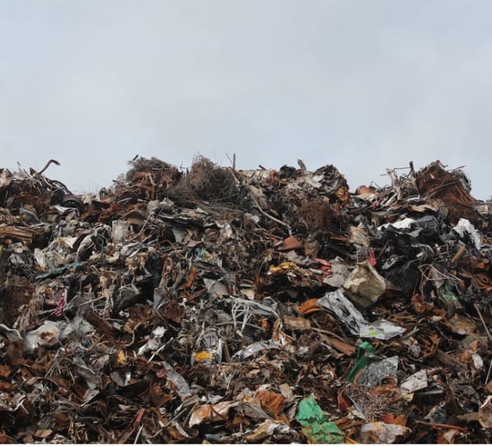Search on for new food waste reduction ideas