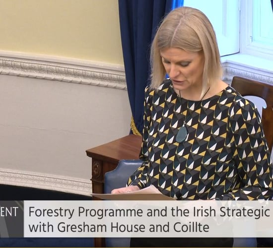Submission for EU state aid approval on forestry plan not yet sent