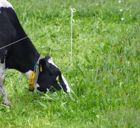 Cork farmer sees big savings after switch to organic fertiliser
