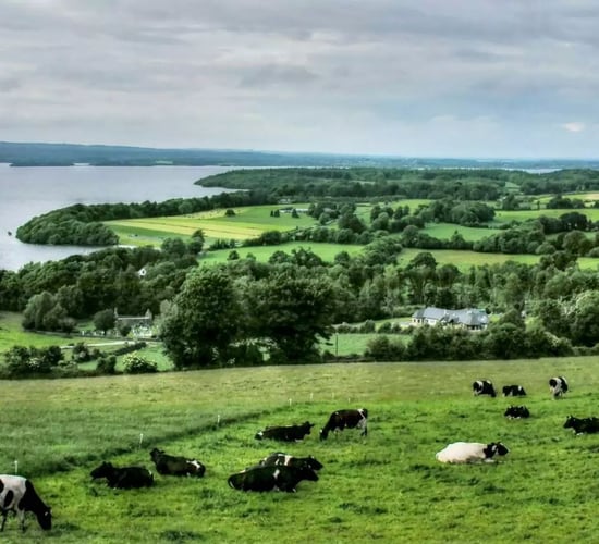 Lough Derg Greenway public consultation to end this week