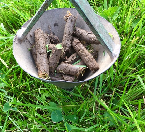 Trends within Soil Nutrient Health Scheme results now becoming apparent