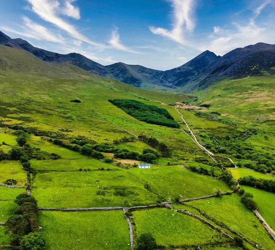 Farm close to Ireland's highest mountain sold at auction