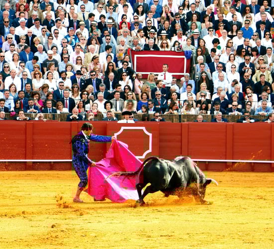Columbian sanctuary saves fighting bulls from slaughter