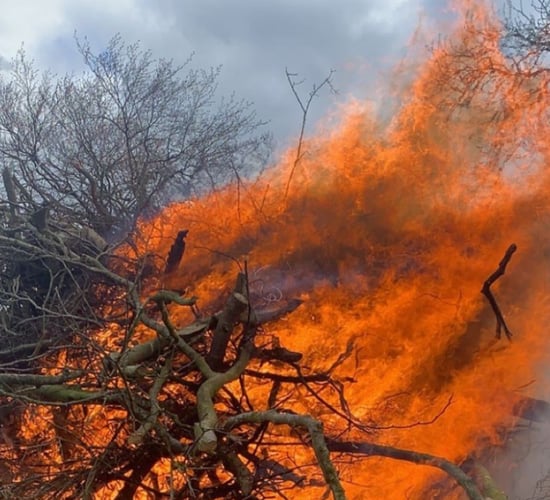 Reminder: 4 days left to burn bushes before September