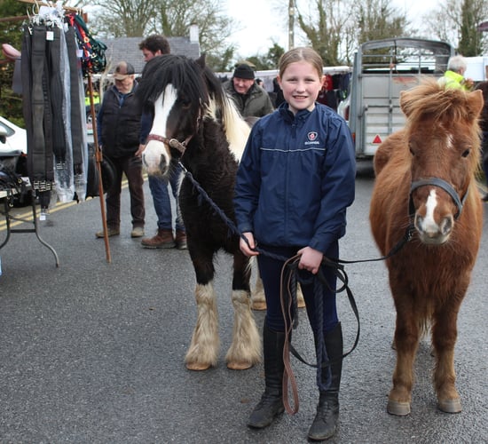 Tradition of annual horse fair alive and kicking in Newmarket