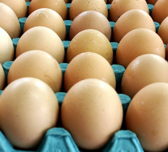 DAERA welcomes UK egg consultation launch