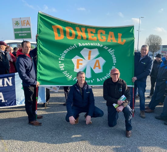 Video: 'Protest may not be enough' - IFA Sheep chair