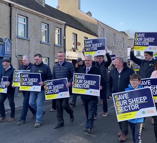 Video: Sheep farmers protest out of 'pure necessity'