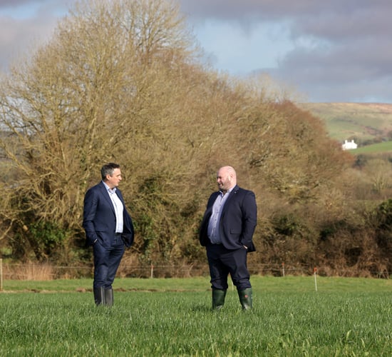 Kerry Dairy Ireland partners with BOI for discounted loans
